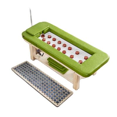 China Modern Cheap Price Facial Massage Private Label Moxibustion Portable Bed for sale