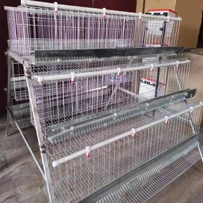 China Farms Low Price 120 Birds Chicken Cage Used In Farm for sale