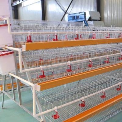 China Farms Good Quality Chicken Layer Battery Cage For 96 128 160 Birds for sale