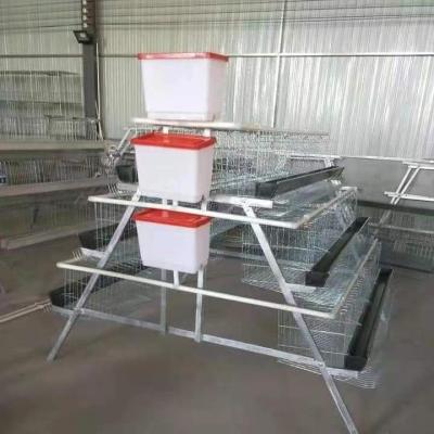 China Farms Hot Sales Chicken Cage System For Layer In Uganda Market for sale