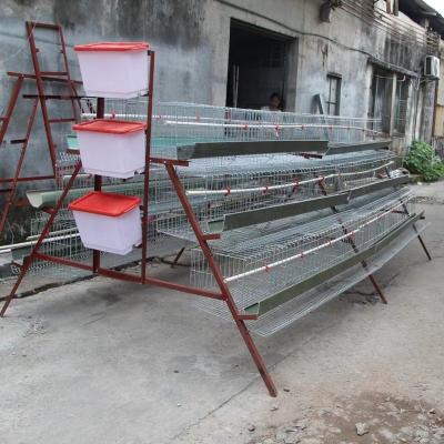 China Hot Dipped Farms Anping Factory 96 Broiler Galvanized Iron Chicken Cage zu verkaufen