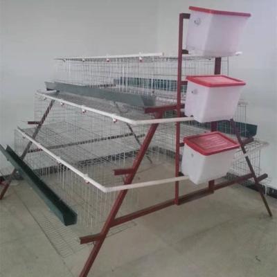 China Farms Hot Sales A Type 3 H 4 Layers 5 Doors Chicken Laying Galvanized Iron Hot Dipped Egg Broiler Cages for sale