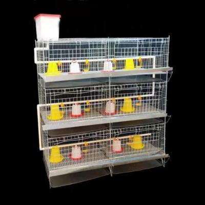 China Farms Hot Sales H Type Hot Dipped Galvanized Steel Cage For Chicken 96 120 128 160 for sale