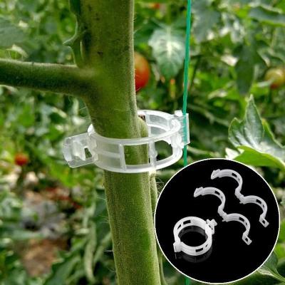 중국 Hot Sale Silicon Tomato Growing Fruit Vegetable Grafting Trellis Trellising Plastic Clips With UV For Plant Support 판매용