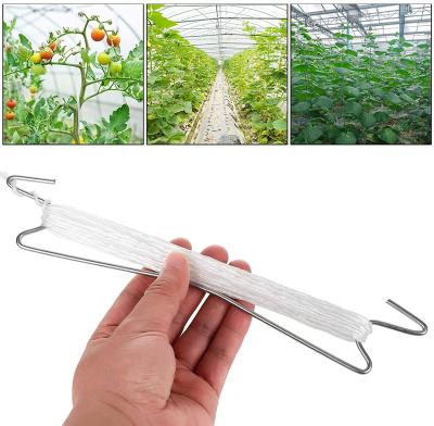 China Factory Direct Galvanized Hot Dipped Galvanized Steel Tomato Hooks For Growing Support for sale