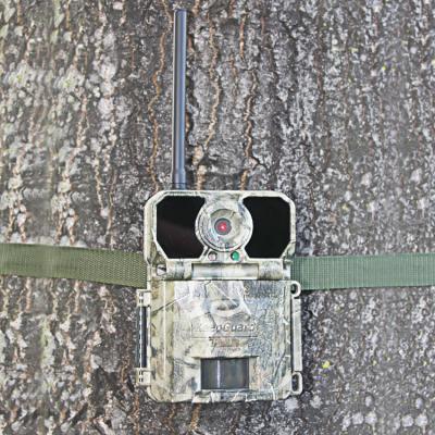 China 1080P 20MP Infrared Hidden Hunting Trail Camera Game Camera Accept OEM/ODM 20MP for sale