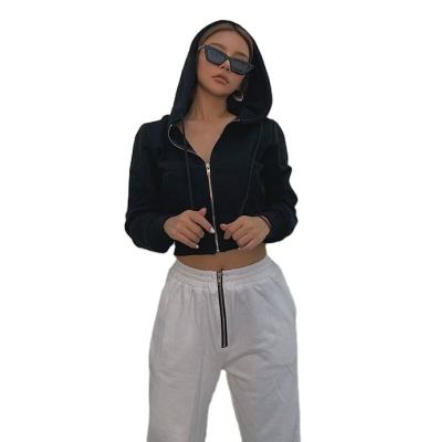 China Women Short Hooded All-match Anti-wrinkle Zipper Sweater Women Casual Sweater Jacket for sale