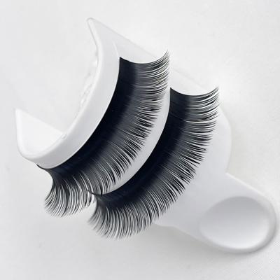 China Full Volume Best Selling Korean Matte Eyelash Extension Ellipse Flat Eyelash Extensions for sale