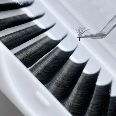 China Customized Logo 6-25mm Fluffy Easy Fan Softer Eyelash Extensions Softer Natural Looking And Fanning Fast Blooming Eyelash Extensions for sale