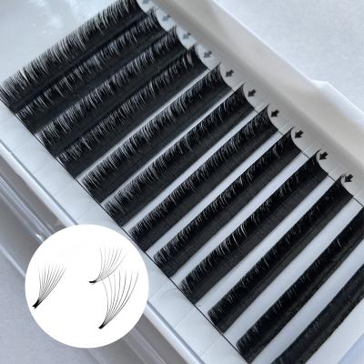 China Professional Easy Seller Mega Volume Lash Fan Full Volume Korean PBT Eyelash Extensions for sale