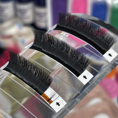 China JYZ Natural Look Easy Fanning Eyelash Blooming Extensions And Softer Mega Volume Eyelashes Mega Softer Top Fan Eyelash Extensions for sale