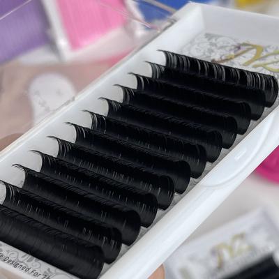 China Full Volume Supplier For False Ellipse Extensions Mink Flat Matte Eyelash Extension Wholesale Seller for sale