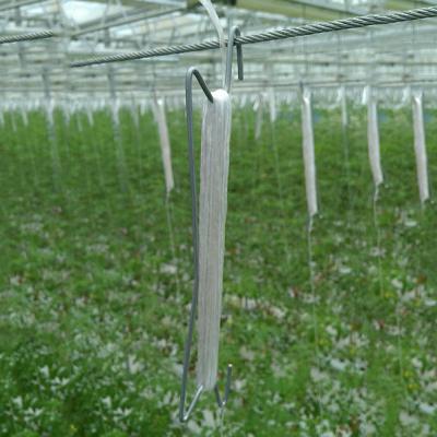 China High Quality Corrosion-Resistance Tomato Hooks For Greenhouse for sale