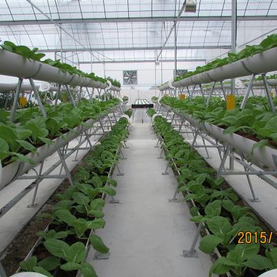 China High quality vertical cultivation table of leafy vegetable production (e.g. lettuce) for the greenhouse for sale