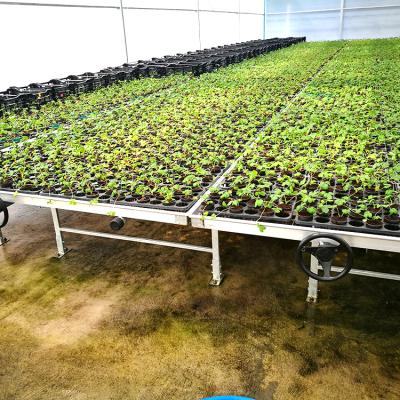 China Nusery Greenhouse Plant Nursery Agricultural Table for sale