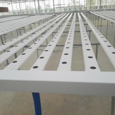 China Agricultural greenhouse hydroponics from the production of leafy vegetable (eg lettuce) grow bed for sale