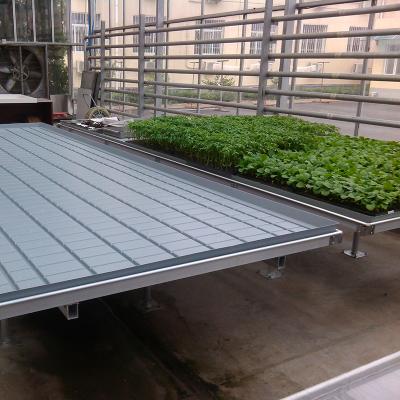 China High Quality Nusery REFLUX Table For Greenhouse for sale