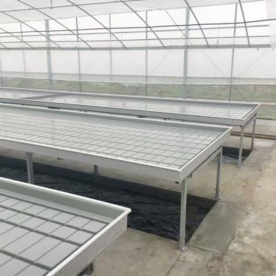 China Nusery Ebb And Flow Table Rolling Greenhouse Benches for sale