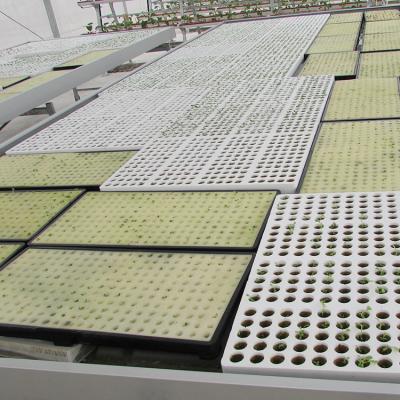 China Ebb and flow of Nusery seeding bed in commercial greenhouse for sale