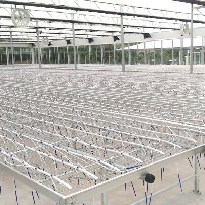 China Nusery Agriculture Greenhouse Seed Rolling Bench Rolling Bed for sale