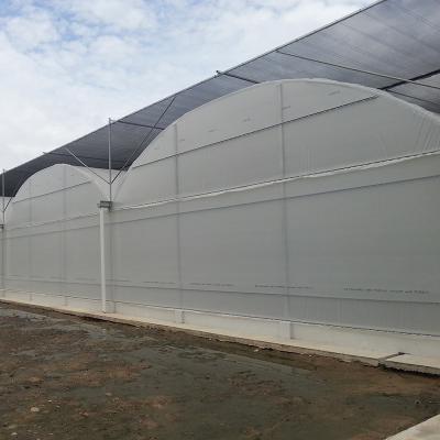 China Galvanized Steel Structure+ Monofilament / Polyolefin Curtain Sunshade Net For Greenhouse Shading System for sale