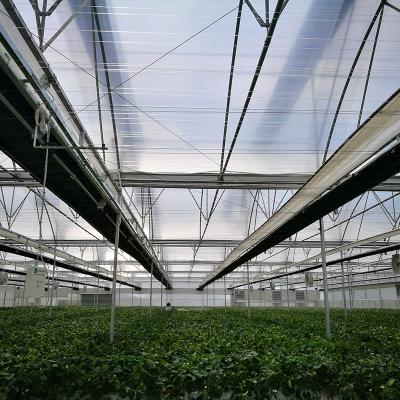 China Galvanized Steel Structure+ Monofilament / Polyolefin Curtain Greenhouse Parts Inside Shading System for sale