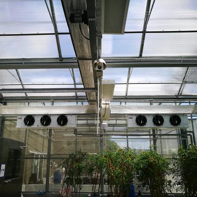 China Large Size Custom Made Climate Control Glass Greenhouse for sale