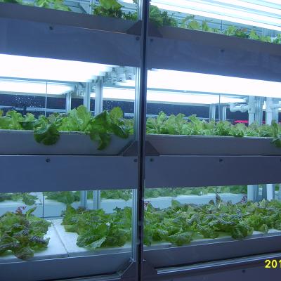 China Round Greenhouse 26m2 Environment Friendly Controllable Hydroponics for sale