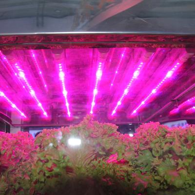 China Around 26m2 Eco-friendly High Production Vegetable Greenhouse for sale