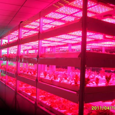 China Round 26m2 Controllable High Entry Agricultural Greenhouse For Tomato for sale