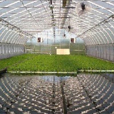 China Leafy &-Veg All Seasons; Fish Production Sale Fish Aquaponics Greenhouses for sale