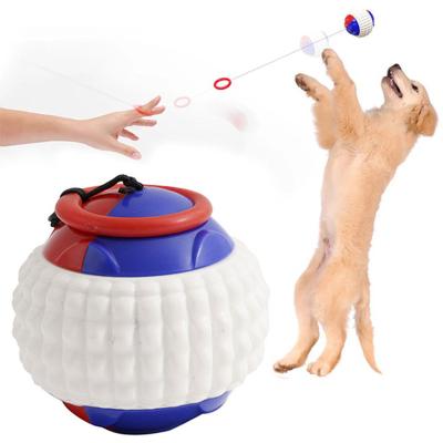 China Latest Viable Elasticity Hand Throw Pumpkin Rubber Ball Toy With String Halloween Gift For Dog for sale