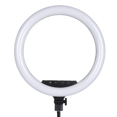 China Aluminum Plastic Video Camera Photo Alloy+ 45cm 18 Inch Ring Fluorescent Light Lamp For Portrait, Photography, Video Recording With Non-dimmable Tripod for sale