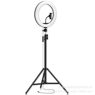 中国 Alloy+ aluminum plastic 10 inch led fill light mobile phone stand selfie photography tripod ringlight beauty ring light 販売のため