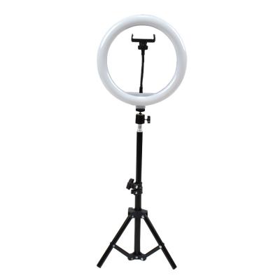 中国 Alloy+ Aluminum Plastic Factory Direct Supply For Live Broadcast, Selfie, Photography, Photography, Atmosphere 10 Inch RGB Fill Colorful Light 販売のため