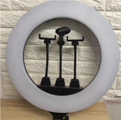 China ZB-F488 Aluminum Plastic Live Light 55cm/22inch LED Selfie Ring Light Dimmable LED Ring Lamp Photo Video Camera Alloy+ Fill for Live YouTube for sale