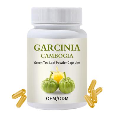 China Fat Burner Slimming Wholesale OEM Garcinia Cambogia Green Tea Leaf Powder Capsules Fat Burner Slimming Hard Capsules for sale