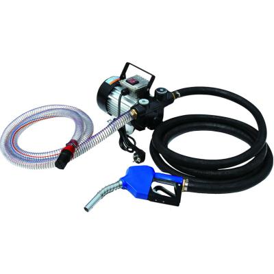 China Automotive Industry Diesel Fuel Transfer Pump 220V Mobile Diesel Fuel Feed Pump Kit 110V With Fuel Dispenser Hoses And Nozzle for sale