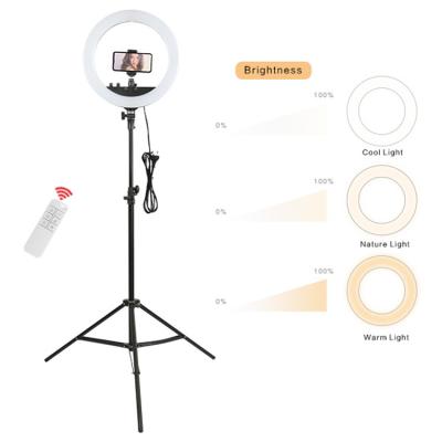 China PORTABLE Best Price Tripod Stand and High Quality Foldable 14 Inch LED Photography Ring Fill Light Makeup for sale