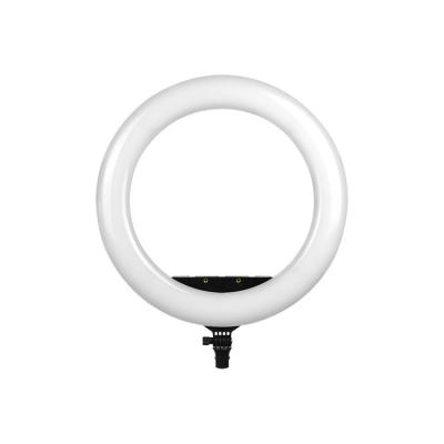 China PORTABLE Cheap Price Quality Selfir Profesional Stand 19 Inch LED Photography Mobile Makeup Ring Fill Light for sale