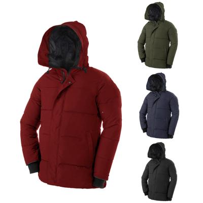 China 1Hooded Winter Windproof Free Shipping E48 Thermal Logo High Quality Man Goose Original Down Coat For Men Canada Parka for sale