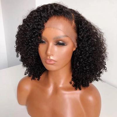 China Kinky Curly Curly Full Lace Wigs 100 Virgin Human Hair HD Lace Wigs Glueless Peruvian Transparent Remy Hair Wigs for sale