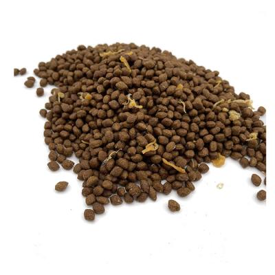 China Cats Wholesale Pet Food Nutrition Cats Complete Balanced Dry Snack Cat Food Dry for sale