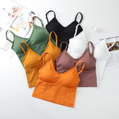 China Breathable Women Running Yoga Sport Tops Seamless Padded High-Support Sports Bra Top Fitness for sale