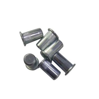 China Excellent Quality Heavy Industry Blind Rivet Nut Blind Rivet Nut Tools for sale