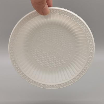 China Biodegradable Disposable Eco-Friendly Disposable Dinnerware 5