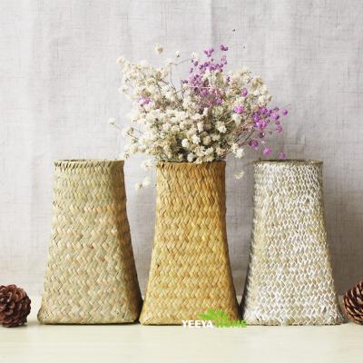 China Europe hot sale unique fashionable design eco natural vegetable plankton flower pots Vietnam for sale