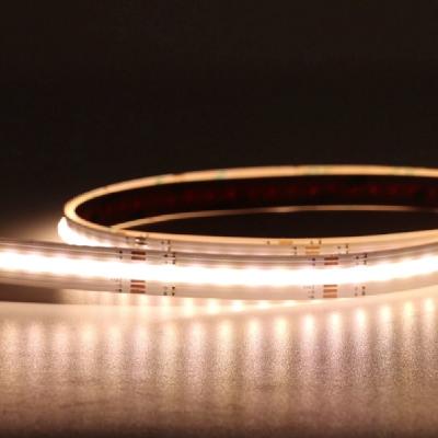 China LANDSCAPE COB Strips Dc12v Dc24v RGB Color Cob Light 3m Flexible Light Strip for sale