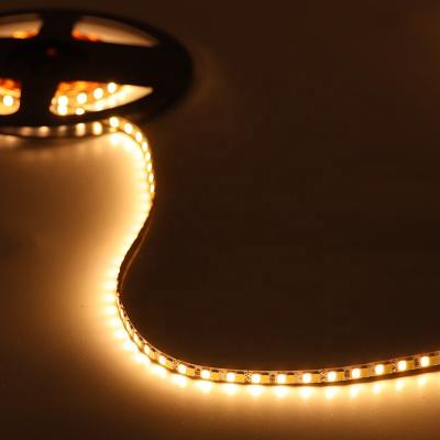 China LANDSCAPE RGB led strip smd 2835 strip led 3oz fpc 2835 bakeware rgb gaming mouse bell tent 5m custom strip led light for sale