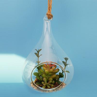 China Creative Indoor Transparent Succulent Hydroponic Hanging Glass Vase To Europe Glass Vase Bottle Decoration Craft for sale